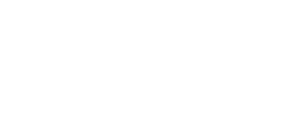 Fires Systems Portals Type