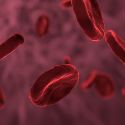 Red Blood Cells