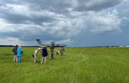 HBA Landing